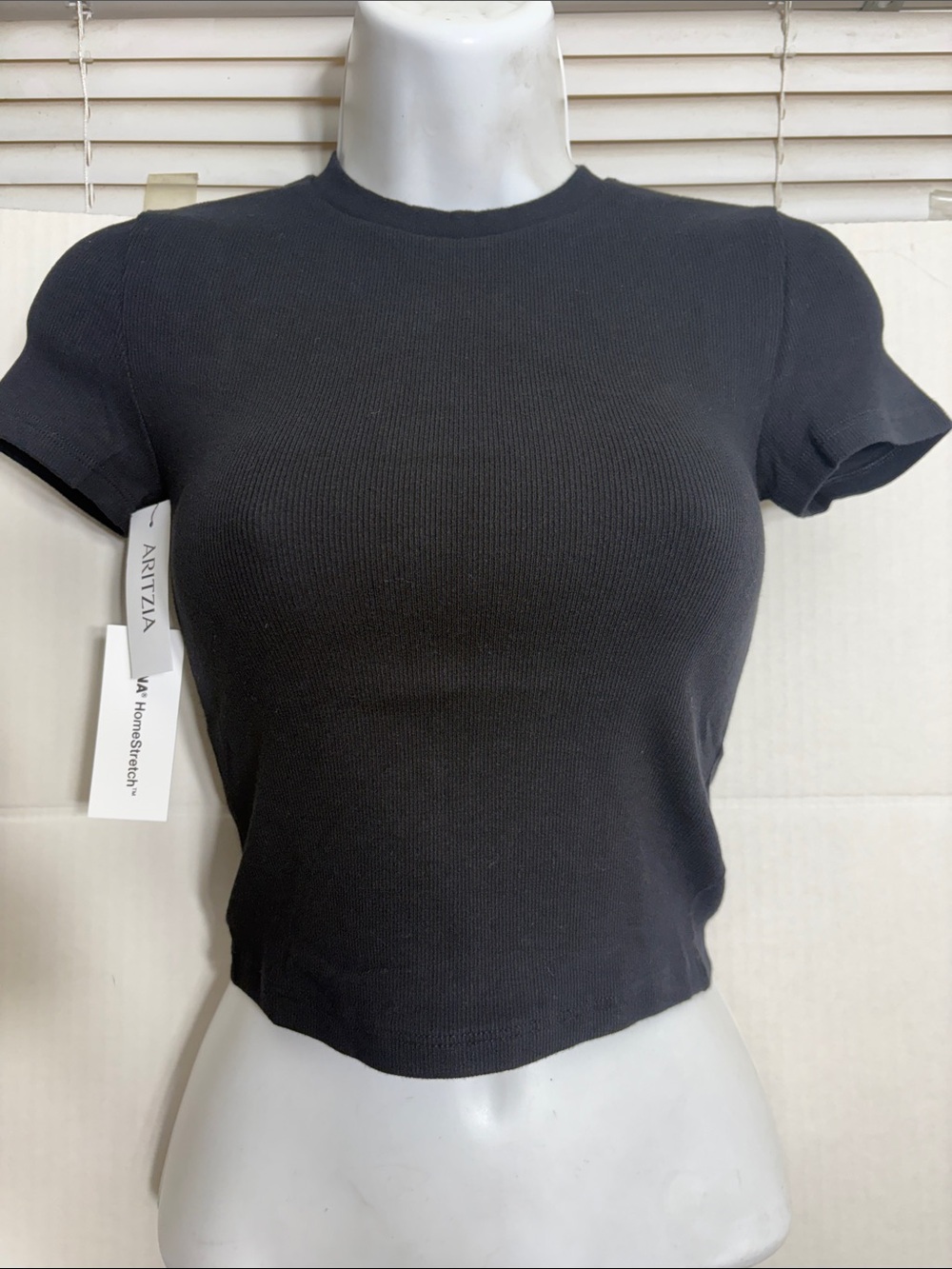 Aritzia Black HomeStretch™ Rib Tune Waist T-Shirt 5025 - Picture 2 of 8